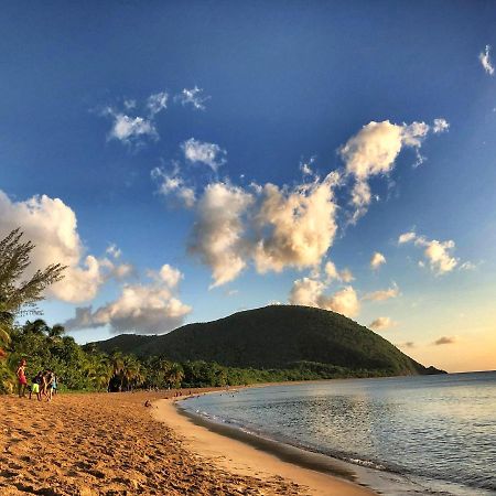 Le Surf Lodge, Chambre Avec Vue Mer Dans Un Ecrin De Verdure Deshaies Buitenkant foto