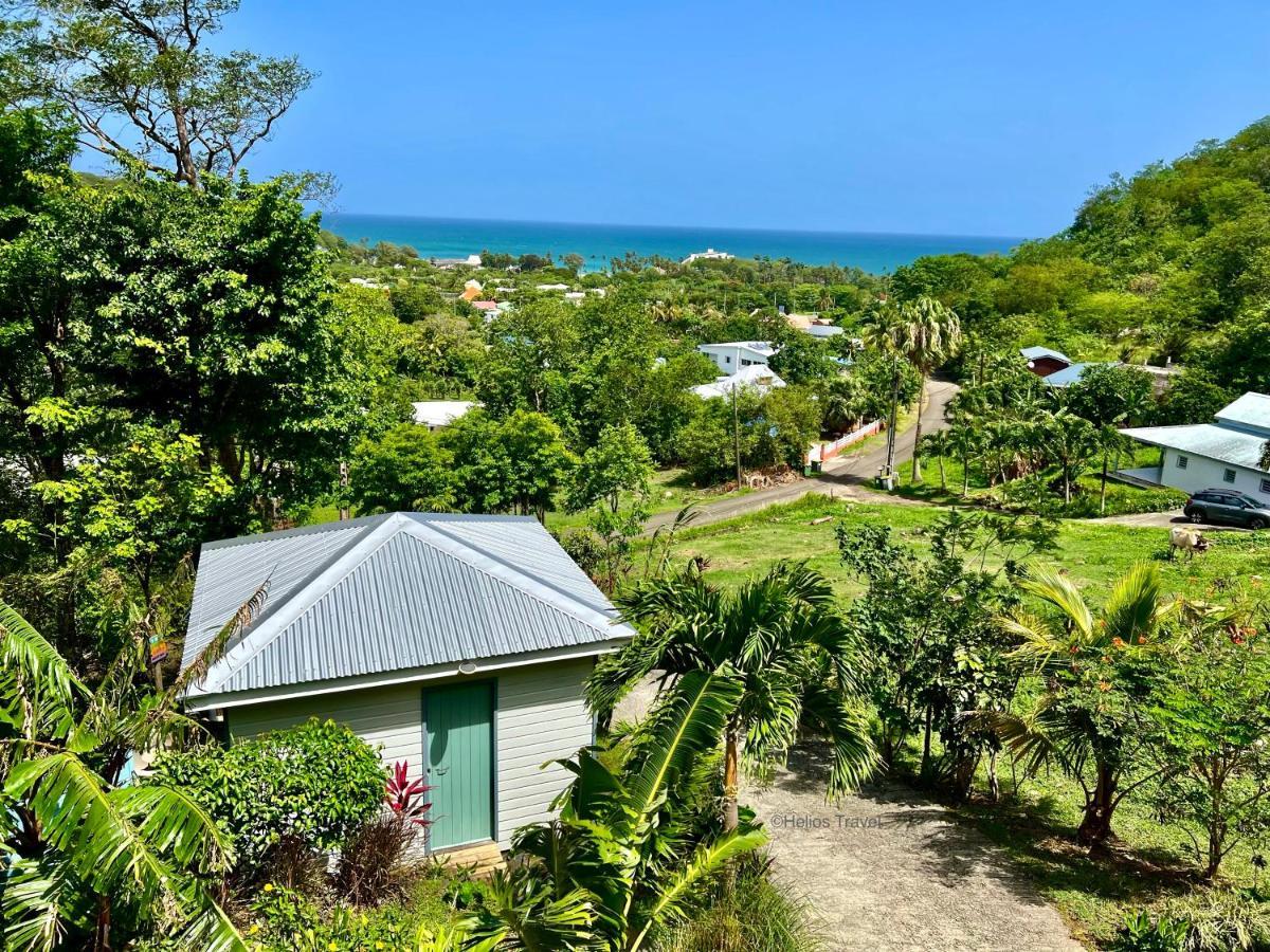 Le Surf Lodge, Chambre Avec Vue Mer Dans Un Ecrin De Verdure Deshaies Buitenkant foto