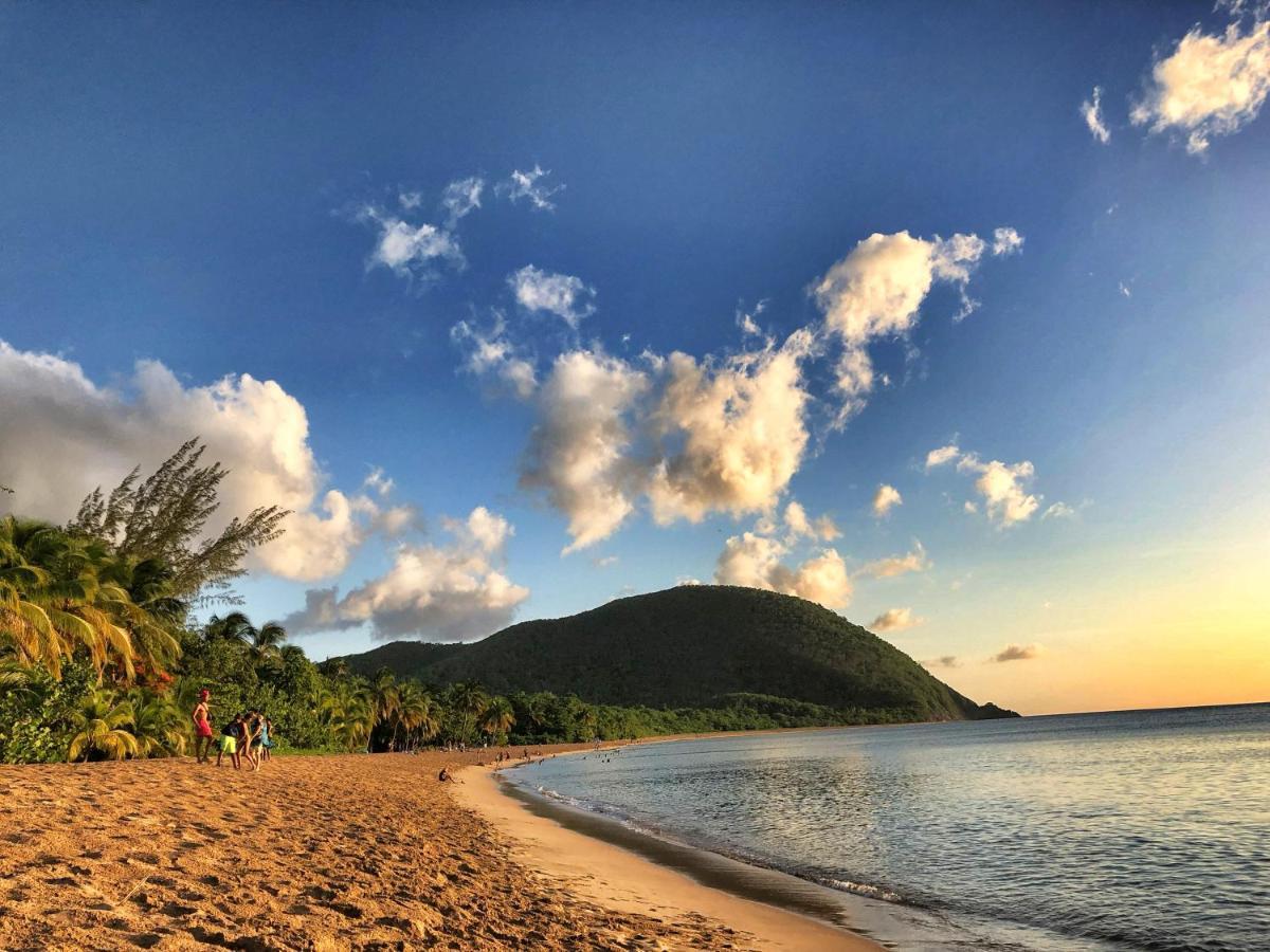 Le Surf Lodge, Chambre Avec Vue Mer Dans Un Ecrin De Verdure Deshaies Buitenkant foto