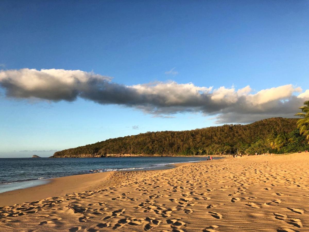Le Surf Lodge, Chambre Avec Vue Mer Dans Un Ecrin De Verdure Deshaies Buitenkant foto
