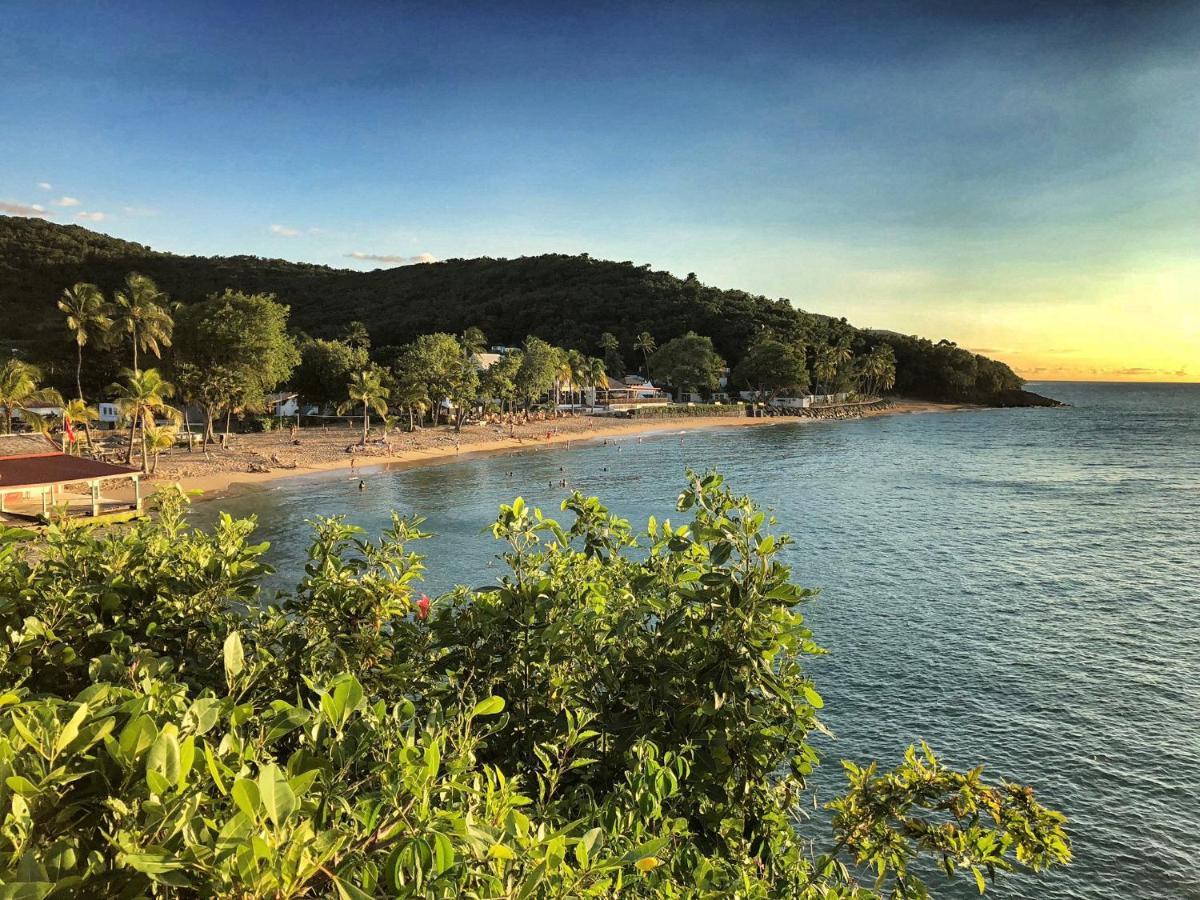 Le Surf Lodge, Chambre Avec Vue Mer Dans Un Ecrin De Verdure Deshaies Buitenkant foto