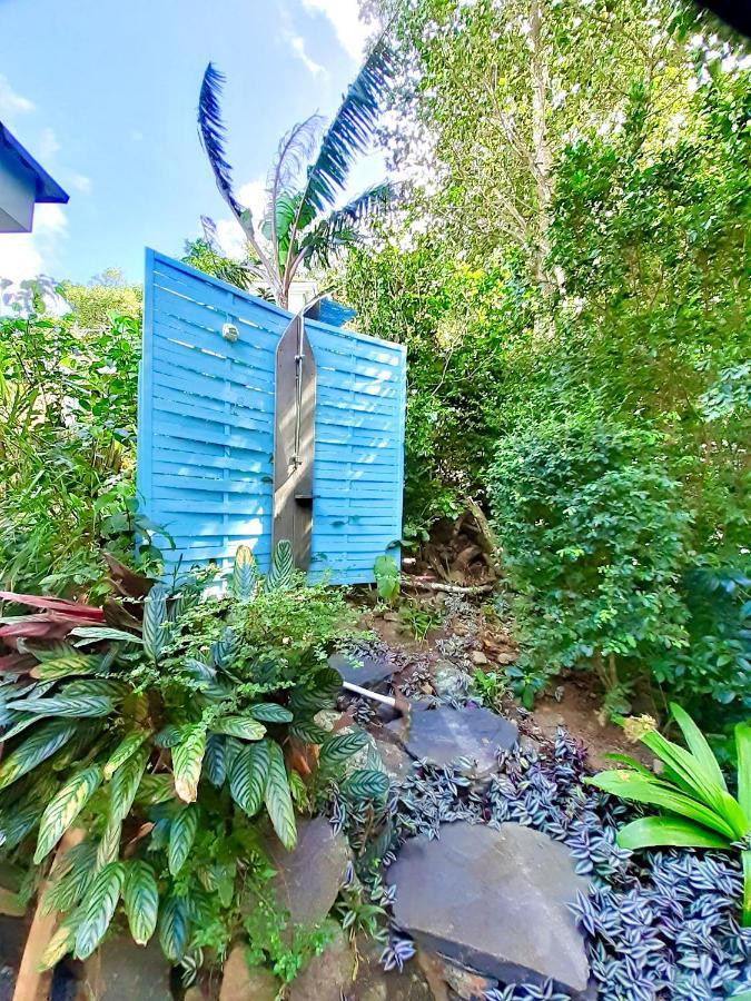 Le Surf Lodge, Chambre Avec Vue Mer Dans Un Ecrin De Verdure Deshaies Buitenkant foto